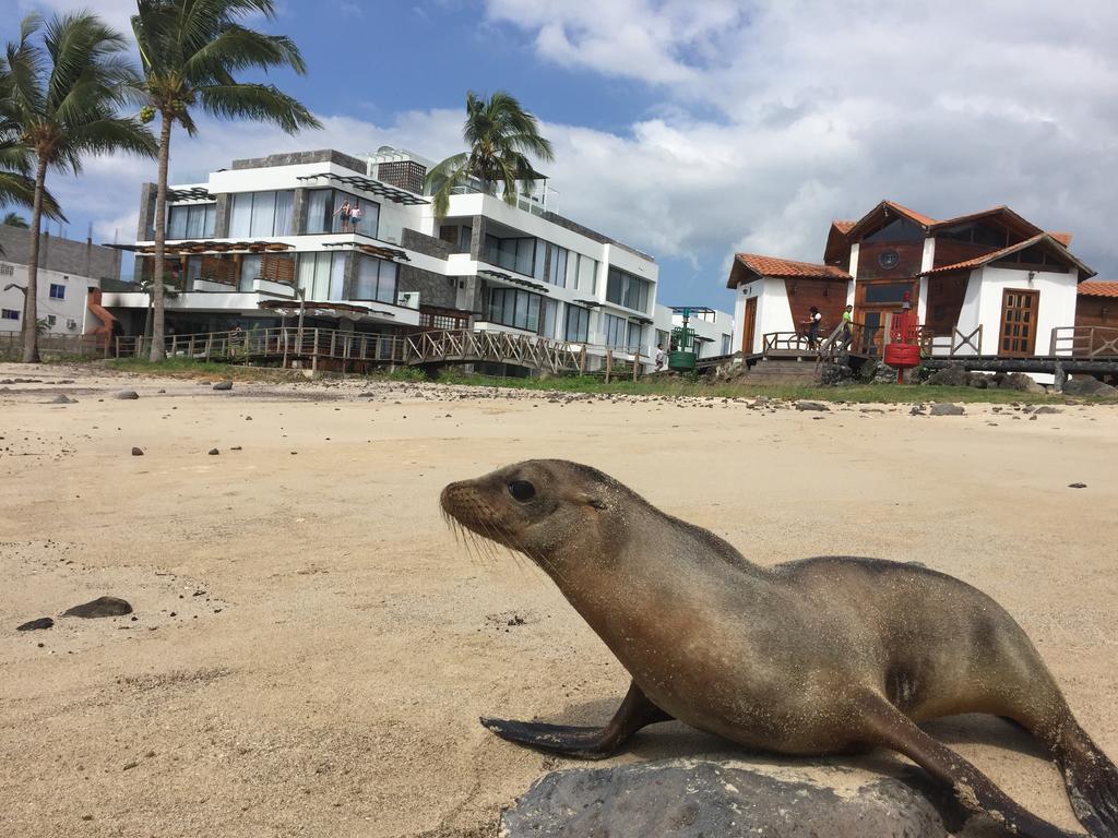 Отель Golden Bay Galapagos Пуэрто-Бакерисо-Морено Экстерьер фото