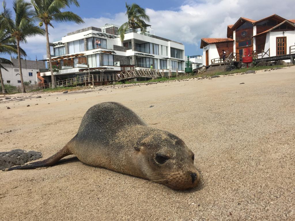 Отель Golden Bay Galapagos Пуэрто-Бакерисо-Морено Экстерьер фото