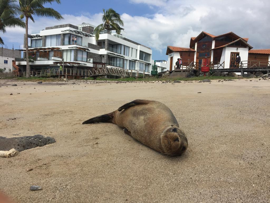 Отель Golden Bay Galapagos Пуэрто-Бакерисо-Морено Экстерьер фото